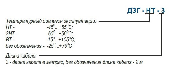Пример обозначения датчика ДЗГ в документации и заказах
