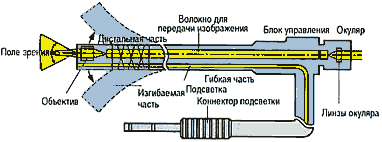 Схема конструкции гибкого эндоскопа